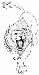 Lion Drawing Tattoo Animal Drawings Roaring Tattoos Sketches Leone Deviantart Pic Pencil Lions Disegno Scary Roar Pyrography Body Outline Sketch sketch template