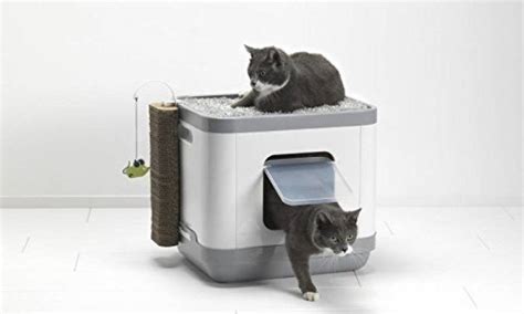 maison de toilette pour chat meuble pour  choisir les meilleurs produits tout pour mon chat