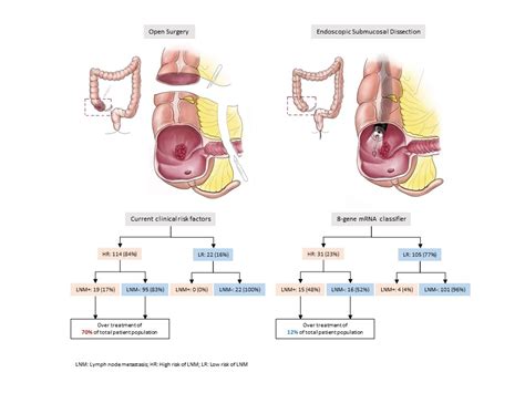 a biomarker for categorizing colorectal cancer patients office of the
