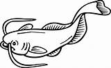 Catfish Drawing Clip Flathead Clipart Decals Stickers Vinyl Cars Custom Clipartmag Clipartbest Line sketch template