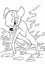Bambi Ronno Pobarvanke Pobarvanka Malvorlagen Pianetabambini Aladdin Bambi2 Scrivi sketch template
