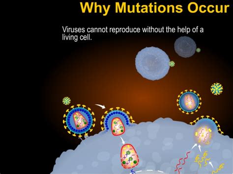 hiv viral load cd4 cells and mutations