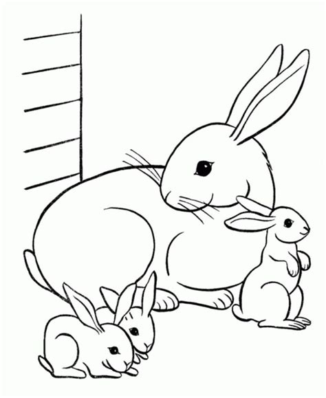 cute bunny coloring pages  kids activity  coloring sheets