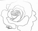 Rose Coloring Derrick Pages Red Traceable Getdrawings Getcolorings sketch template