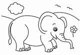 Mewarnai Gajah Binatang sketch template