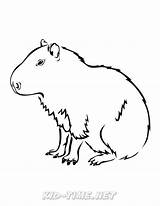 Capybara Kidsfunplace sketch template