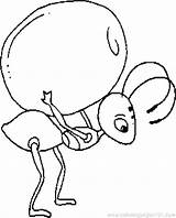 Ant Coloring Pages Kids Cartoon Drawing Ants Picnic Cliparts Printable Color Colonies Clipart Getcolorings Print Clipartmag Getdrawings Updated Choose Board sketch template