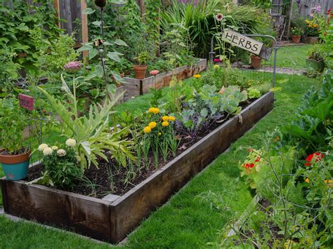 grow   vegetable garden