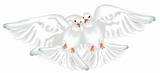 Clipart Dove Doves Transparent Wedding Cliparts Clip Library sketch template