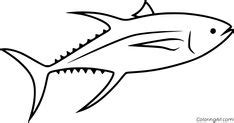 tuna coloring pages   fish coloring page coloring pages