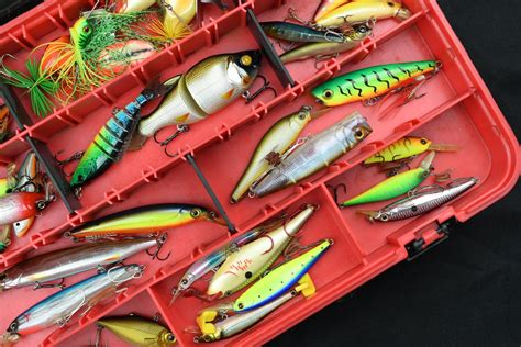 common types  fishing lures      fishingbooker blog