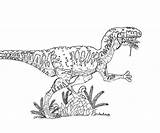 Park Jurassic Coloriage Coloring Ark Velociraptor Dessin Kleurplaat Survival Evolved Indoraptor Pages sketch template