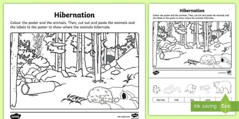 coloring pages  hibernating animals