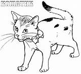 Ausmalbilder Katzen Dekoking Katze Gefallene Wählen Spaß sketch template