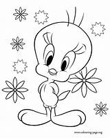 Tweety Coloring Bird Pages Printable Colouring Fun Print sketch template