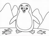 Pinguim Penguins Desenhos Colorironline sketch template