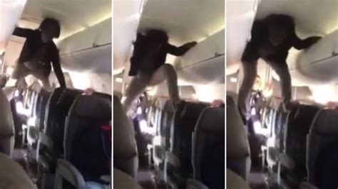 Us Plane Passenger Filmed Screaming Climbing Seats In Frenzied Flight