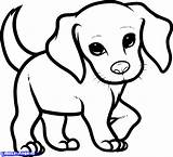 Puppy Easy Drawing Cute Coloring Pages Dog Dogs Puppies Sketch Line Drawings Cartoon Simple Yorkie Draw Kids Clipart Step Realistic sketch template