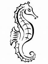 Seahorse Coloring Pages Outline Tattoo Line Drawing Static Print Printable Template Tattooimages Biz Fish Color Clipartmag Recommended sketch template