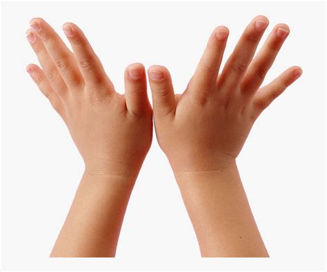 transparent children raising hands clipart child hand