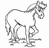 Coloring Pages Mammals Print Horse Colouring Preschool Animals Animal Clipart Little Clip Library Popular sketch template