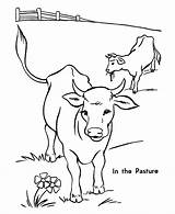 Cow Coloring Printable Pages Kids Color Creativity Recognition Develop Ages Skills Focus Motor Way Fun Print sketch template