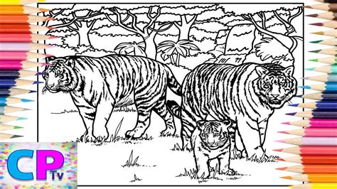 tigers family coloring pageswild tigers coloringspektrem shine