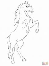 Coloring Pages Horse Rearing Printable Drawing Print Mustang Friesian Breyer Outline Getcolorings Color Supercoloring Paintingvalley Template Collection sketch template