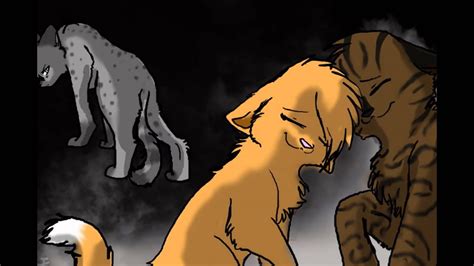 Ashfur Squirrelflight And Brambleclaw A Love Story Youtube