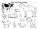 Farm Coloring Animals Pages Animal Printable Print Equipment Polar Color Zoo Labeling Realistic Colouring Drawing Arctic Tundra Preschool Jam Baby sketch template