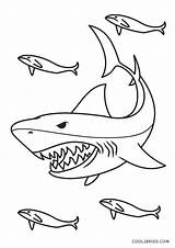 Hai Coloring Shark Malvorlagen Druckbare Kostenlos Ausdrucken Cool2bkids sketch template