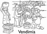 Vendimia Vino Vinho Arender Ciclo Proyectos sketch template