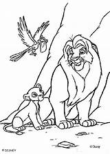 Simba Coloring Lion Mufasa Pages King Zazu Color Print Roi Le Hellokids Book Disney sketch template