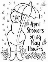 Alpaca Showers Printable Kids Store1 sketch template