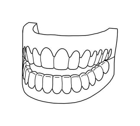 picture  full teeth  dental health coloring page picture  full