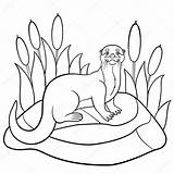 Otter Cute Outline Drawing Coloring Pages Getdrawings sketch template