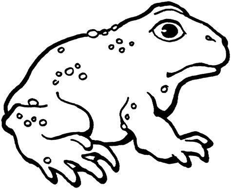 frog  toad coloring pages