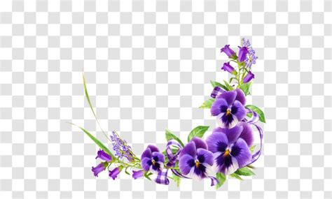 violet floral design flower purple transparent png