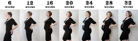 Pregnant With Twins Belly Progression Edit – Telegraph