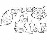 Coloring Raccoon Pages Kids Printable Racoon Family Raccoons Sheet Bestcoloringpagesforkids Sheets Animal Getdrawings Adult Woodland Draw Printables Forest Library Animals sketch template