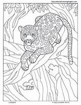 Jaguar Mammals sketch template