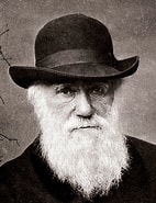 Image result for Darwinismo. Size: 142 x 185. Source: enciclopediaonline.com
