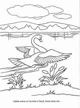 Cygne Livres étangs Colorier Swans Fandoms Enfants sketch template