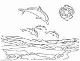 Coloring Pages Porpoise Getdrawings sketch template