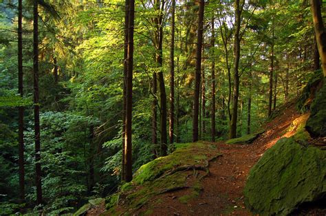 tv tipp dokumentation ueber der freischuetz vom thueringer wald