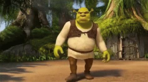 shrek looksmaxxing forum