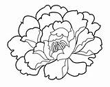 Carnation Coloring Pages Clipart Flower Flowers Drawing Line Shapes Printable Simple Silhouette Easy Kids Library sketch template