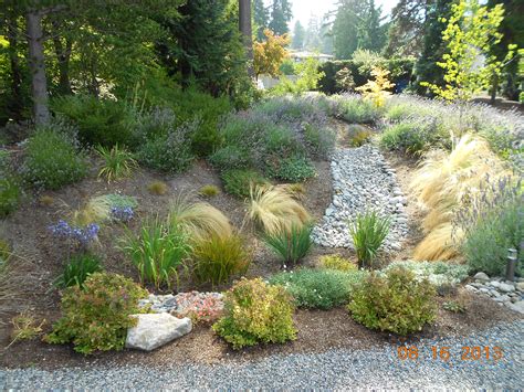 rain garden  edmonds news