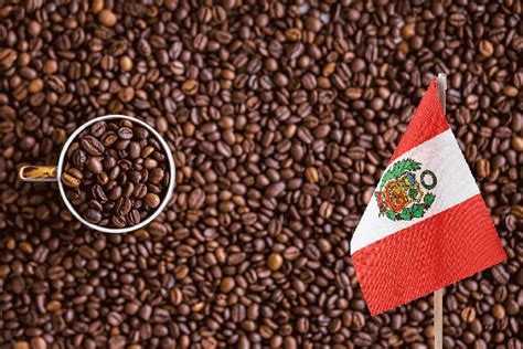 peru es el primer productor  exportador mundial de cafe organico