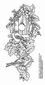 Patterns Wood Burning Coloring Pages Pyrography Printable Woodburning Christmas Adult Birdhouse Carving Bird Print Vorlagen Drawings Woodcarving Winter Colouring Brandmalerei sketch template